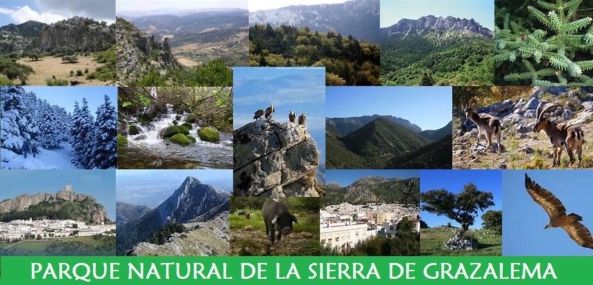 Parque Natural de la Sierra de Grazalema Parque Natural de la Sierra de Grazalema