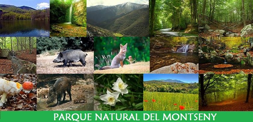 Parque Natural del Montseny