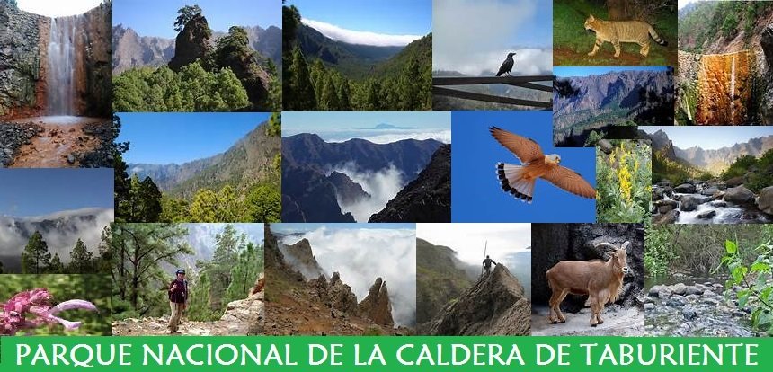 Parque Nacional de la Caldera de Taburiente Parque Nacional de la Caldera de Taburiente
