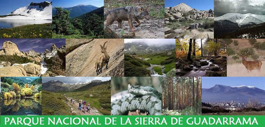 Parque Nacional de la Sierra de Guadarrama Parque Nacional de la Sierra de Guadarrama