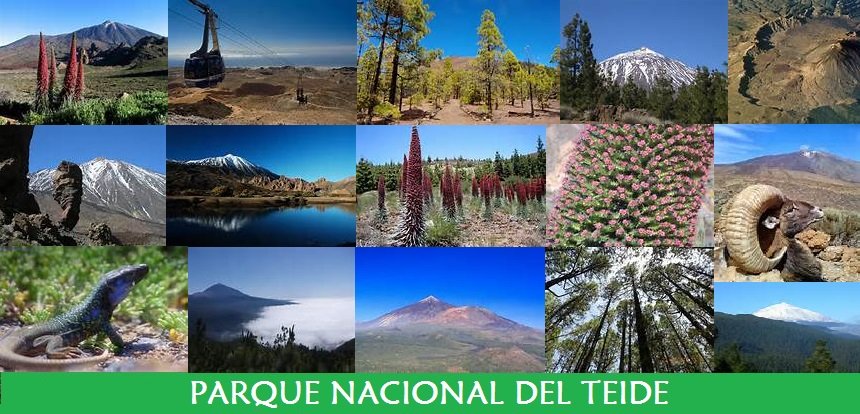 Parque Nacional del Teide