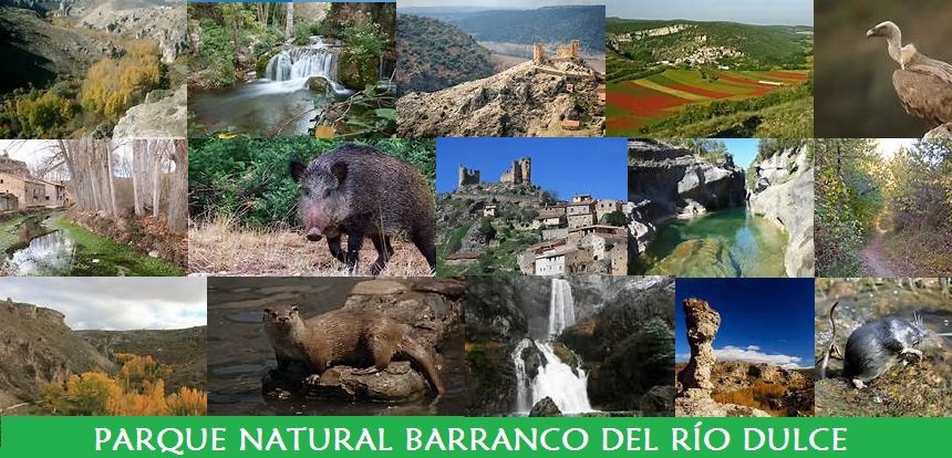 Parque Natural Barranco del río Dulce Parque Natural Barranco del río Dulce