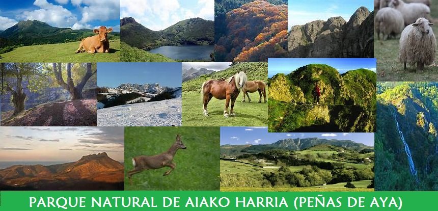 Parque Natural de Aiako Harria (Peñas de Aya) Parque Natural de Aiako Harria (Peñas de Aya)