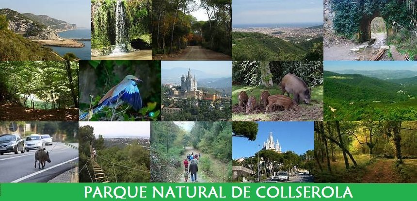 Parque Natural de Collserola Parque Natural de Collserola
