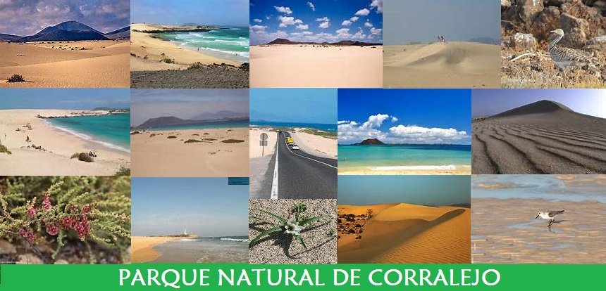 Parque Natural de Corralejo Parque Natural de Corralejo