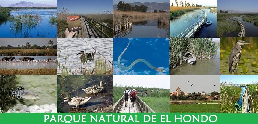 Parque Natural de El Hondo Parque Natural de El Hondo