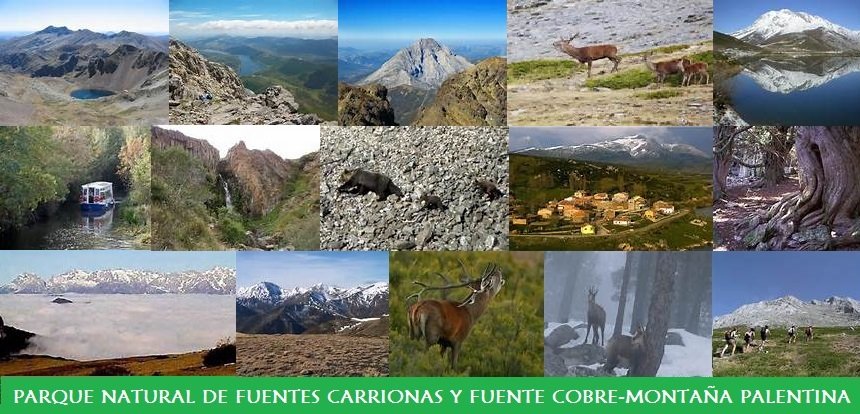 Parque Natural de Fuentes Carrionas y Fuente Cobre-Montaña Palentina Parque Natural de Fuentes Carrionas y Fuente Cobre-Montaña Palentina