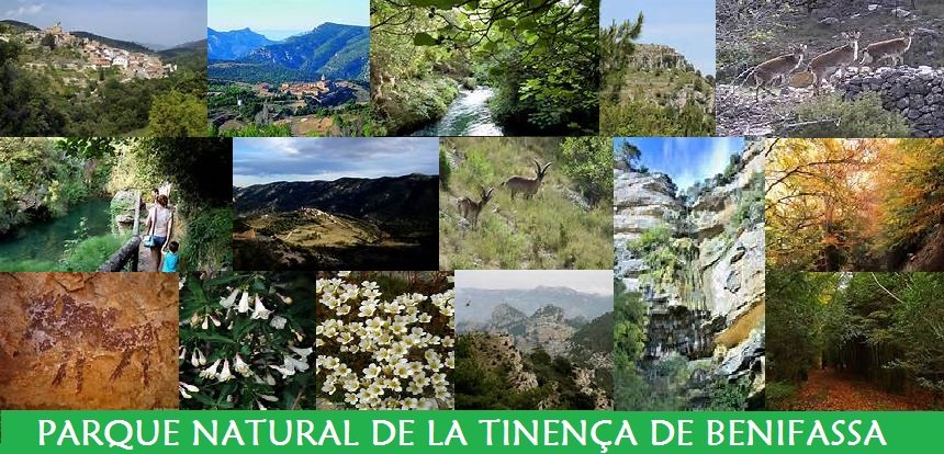 Parque Natural de la Tinença de Benifassà