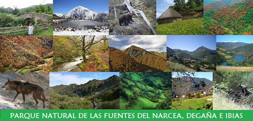 Parque Natural de las Fuentes del Narcea, Degaña e Ibias