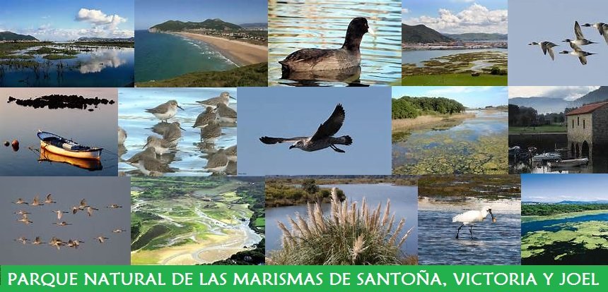 Parque Natural de las Marismas de Santoña, Victoria y Joel Parque Natural de las Marismas de Santoña, Victoria y Joel
