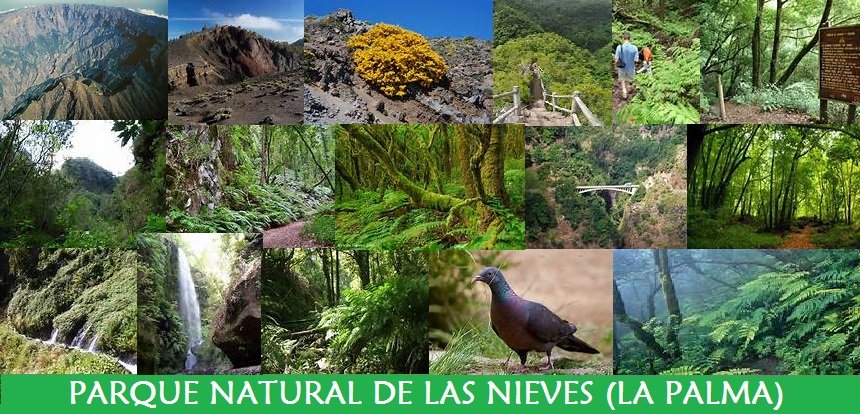 Parque Natural de las Nieves