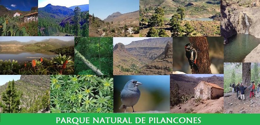 Parque Natural de Pilancones