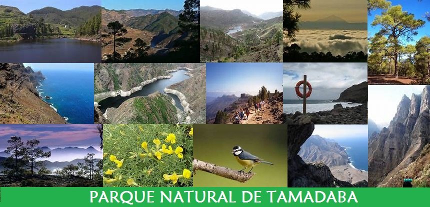 Parque Natural de Tamadaba Parque Natural de Tamadaba