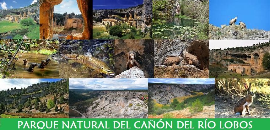 Parque Natural del Cañón del río Lobos Parque Natural del Cañón del río Lobos