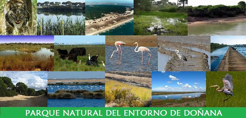 Parque Natural del Entorno de Doñana