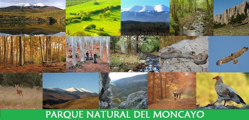 Parque Natural del Moncayo