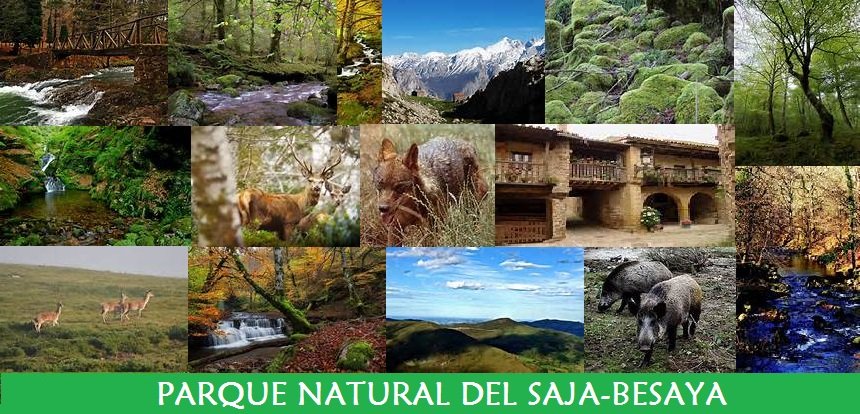 Parque Natural del Saja-Besaya