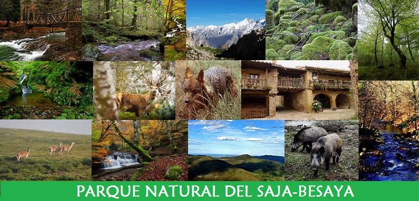 Parque Natural del Saja-Besaya Parque Natural del Saja-Besaya