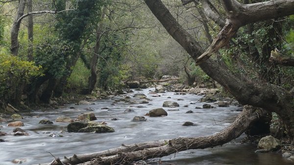 Parque Natural de España